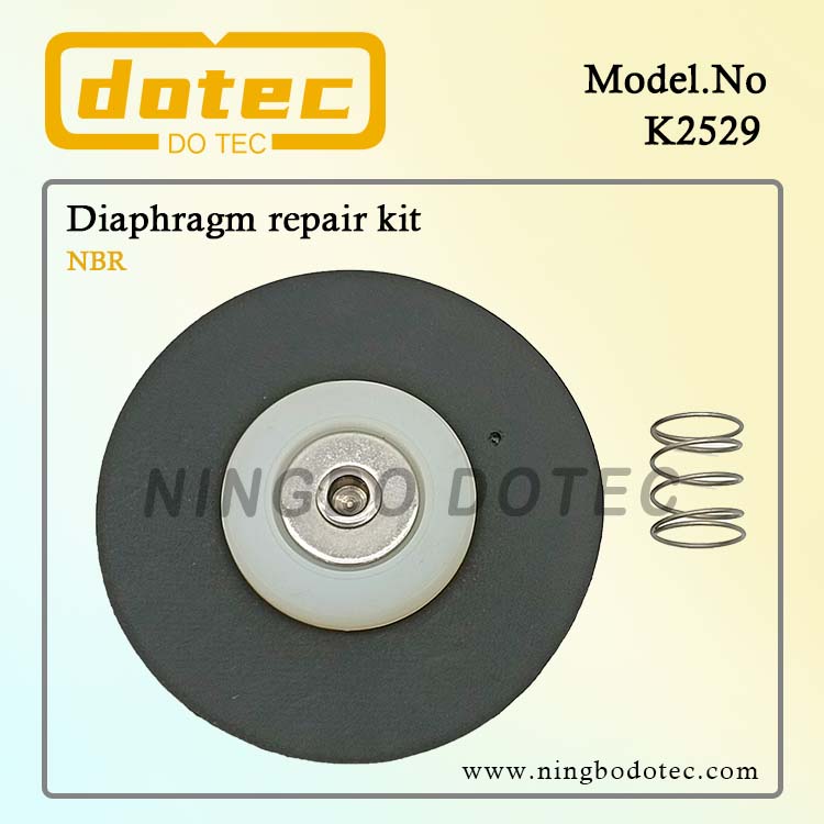 K2529 Diaphragm Repair Kit For Goyen RCAC25T3 RCAC25DD3