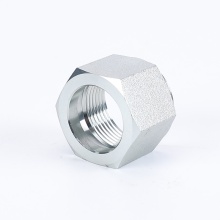 Cap Nuts Pipe Fittings Stainless Steel Hexagon Nut
