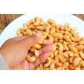 New Crop Vietnam Factory Cashew Nut Sale