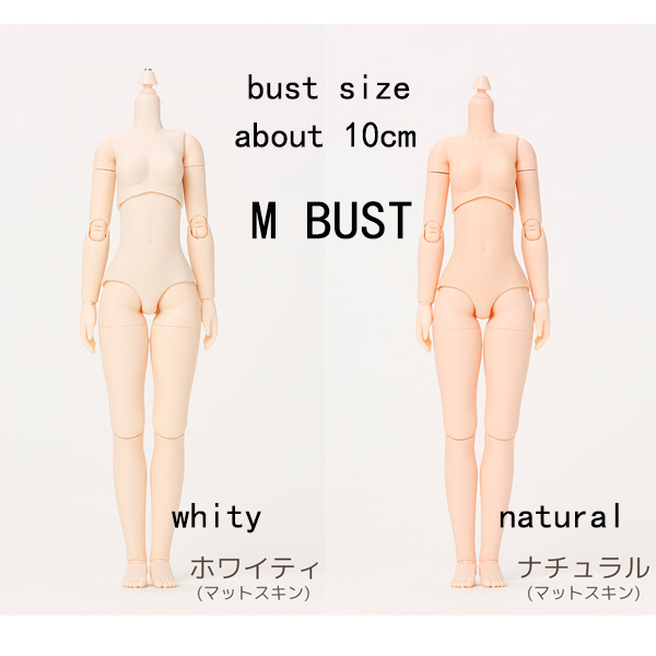 obitsu OB24 body ob24 doll Legal copy M BUST