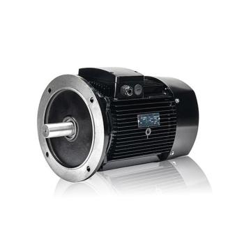 Heavy Duty Worm Gear Reduction Motor