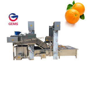 Citrus Fruit Washing and Grading Orange Washing Machine