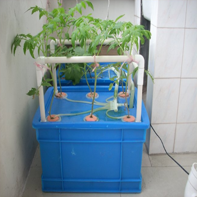 Hydroponics Grow Kit Box For Indoor Vegetable Grwoing China Manufacturer