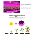 USB LED Plant Grow Light Strip Fitolampy Grow Lights For Indoor Plant Flower Seedling For Hydroponic Greenhouse Seedlings