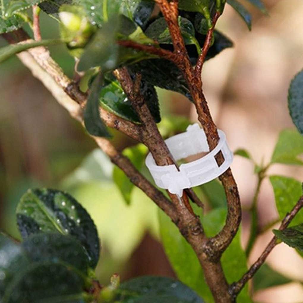 50PCS/Set Reusable Plastic Plant Support Clips Plants Hanging Vine Garden Greenhouse Vegetables Tomatoes Clip