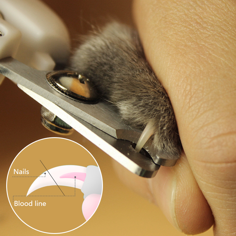 Pet Dog Nail Clippers Trimmer Kitty Cat Nail Clipper Pet Grooming Dog Claw Cutter Trimmer For Animals Dog Cat Nail clipper