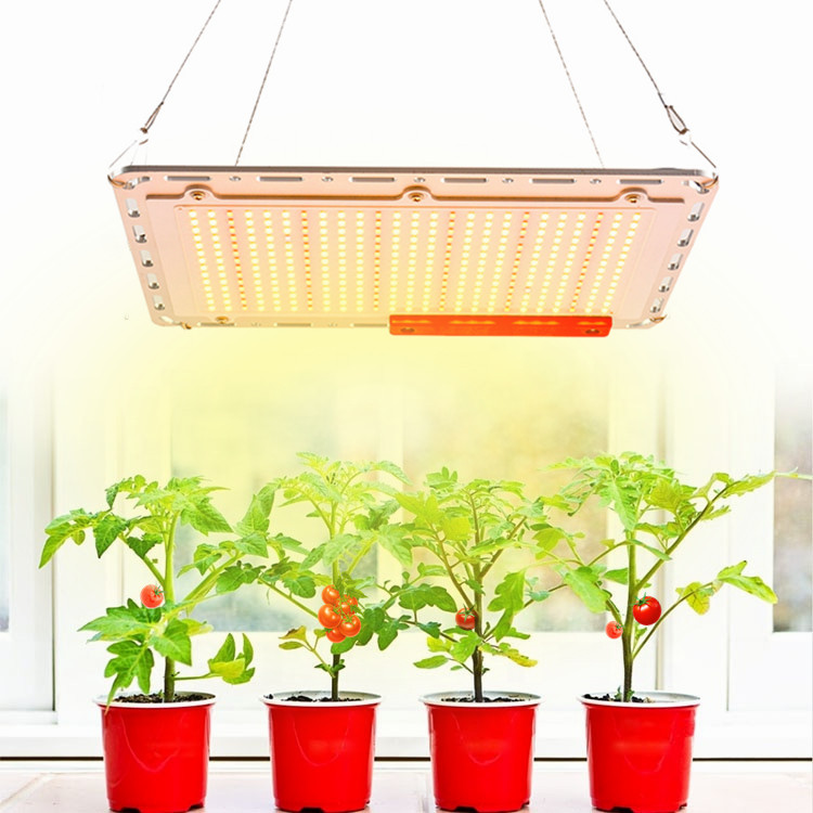 2021 hot sale free-assemabled 120w grow light