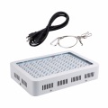 Best Led Grow Lights For Indoor Plants 1000w