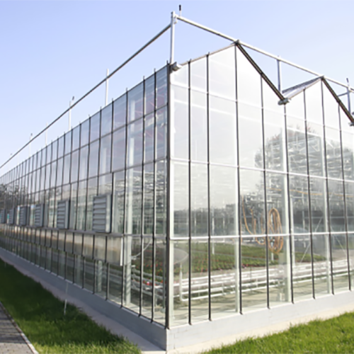 Skyplant Commercia Venlo Type Glass Greenhouse Manufacturers and Skyplant Commercia Venlo Type Glass Greenhouse Suppliers