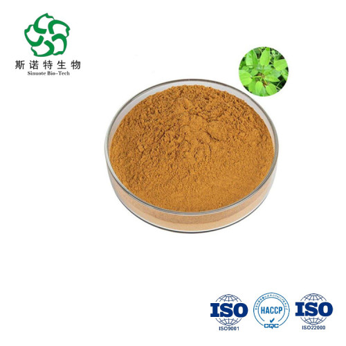 Rubia Cordifolia extract Powder for Sale, Offer Rubia Cordifolia extract Powder