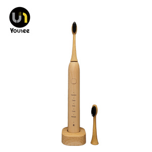 Environmentally friendly rechargeable electric toothbrush