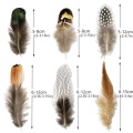 4pcs of each feather