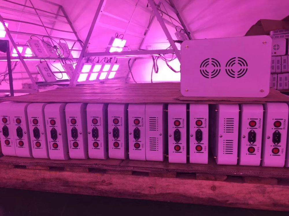 Full Spectrum 1500W Greenhouse Led Grow Light