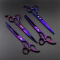Purple dragon 7.0 inch Professional Pet Scissors Dog Grooming Shears Set Straight & Curved & Thinning 4pcs/set