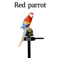 parrot red