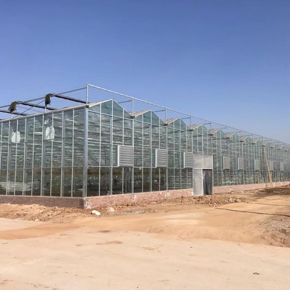 Venlo PC Greenhouse