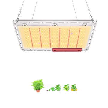 DIY Quantum LED Grow Light Board Samsung lm301b