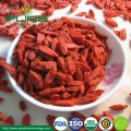 AD Drying Organic Goji/Organic Medla/Organic Wolfberry