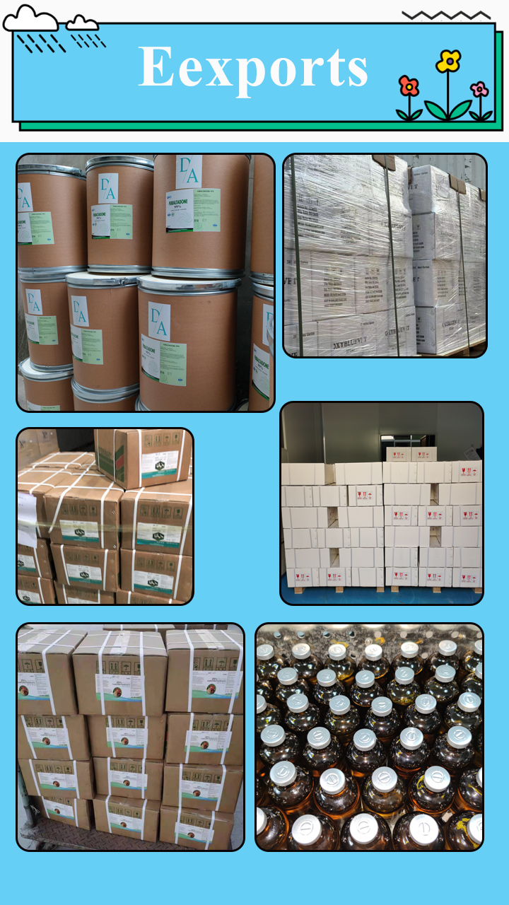 export