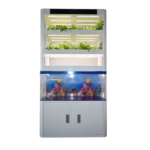 Vertical Hydroponic with Fish Tank For Vegetables Growing Manufacturers and Vertical Hydroponic with Fish Tank For Vegetables Growing Suppliers