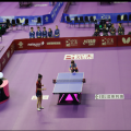Professional Indoor Tabel Tennis court mats