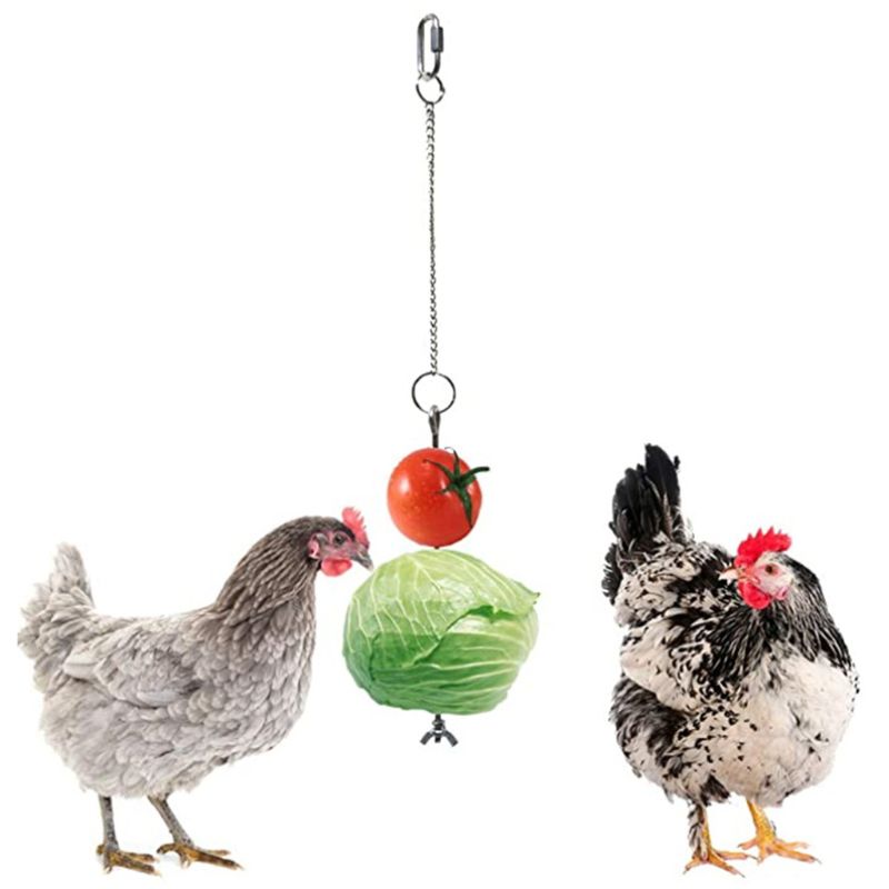 Stainless Steel Bird Chicken Veggies Skewer Food Fruit Holder for Hens Hanging Vegetable Feeder Foraging Toy