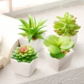 Green Artificial Succulents Plants Home Garden Bedroom Balcony Desktop Table Mini Bonsai Wedding Party Decoration Fake Plants