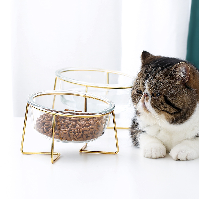 New Non-slip Cat Bowls Glasses Single Bowls with Gold Stand Pet Food&Water Bowls for Cats Dogs Feeders Pet Products Cat MJ81804