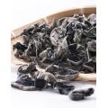 Natural organic black fungus dried black agaric