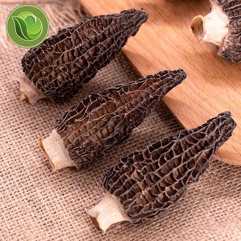 Premium Dried Wild Morel Mushrooms