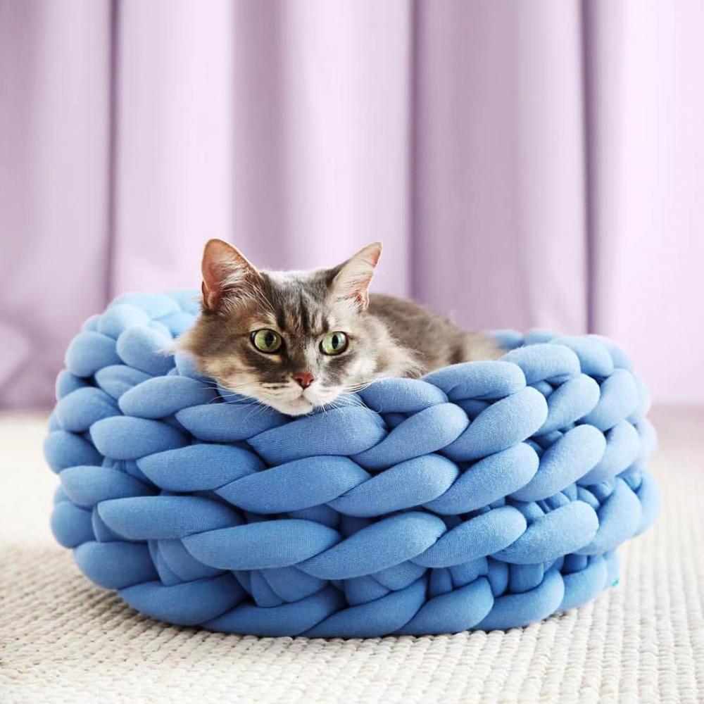Cat Beds Walmart