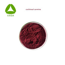 Natural Pigment Cochineal Carmine Powder 50%