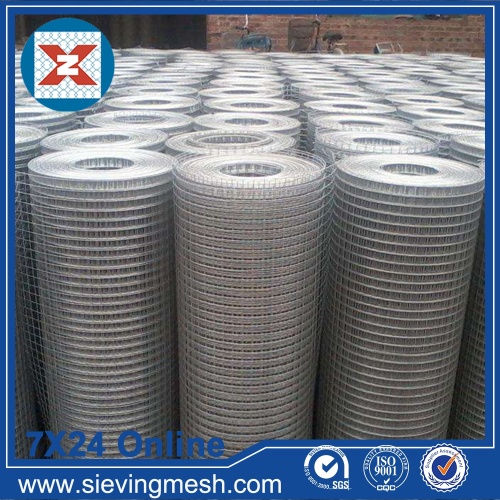 Galvanized Iron Wire Mesh wholesale