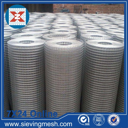 Galvanized Steel Welded Mesh wholesale