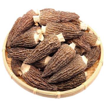 Natural wild morel, Morchella Contains a large amount Vitamin b1 Vitamin b2 Vitamin b12 Protect the liver fight cancer