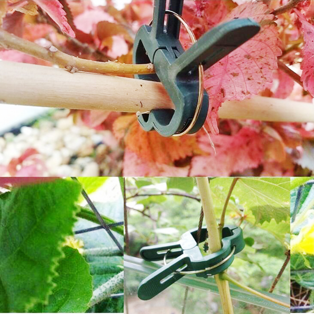 20pcs Reusable Plastic Plant Support Clips clamps For Plants Hanging Vine Garden Greenhouse Vegetables Tomatoes Clips