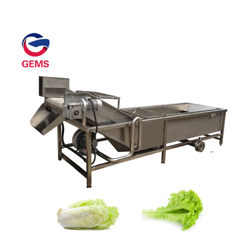 Italy Automatic Ginger Washing and Peeling Machine for Sale, Italy Automatic Ginger Washing and Peeling Machine wholesale From China