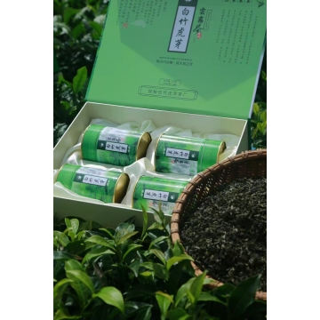 Premium Green Tea for Daily Wellness and Refreshment