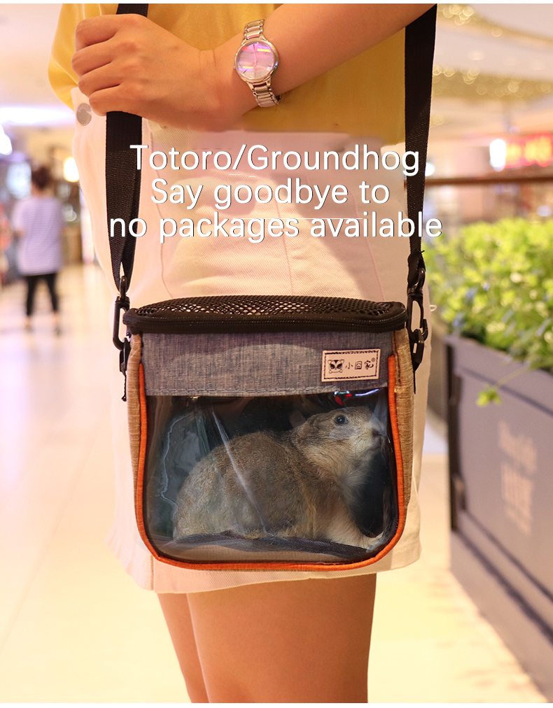 Pet Travel Carrier