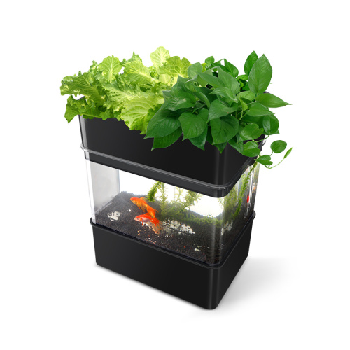 Grewenhouse hydroponic system and aquarium hydroponics Manufacturers and Grewenhouse hydroponic system and aquarium hydroponics Suppliers