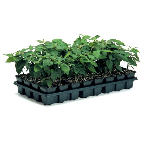 Skyplant 128 Holes Plastic Seeds Seedling Tray Manufacturers and Skyplant 128 Holes Plastic Seeds Seedling Tray Suppliers