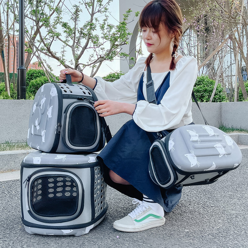 Pet Travel Carrier