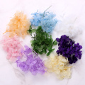 1Box Dry Flower DIY Epoxy Resin Handmade Crafts Filling Materials Filler Dried Flowers Time Stone Jewelry Making Desk Decor