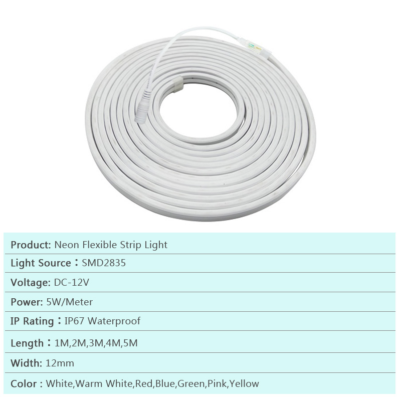 LED Strip Flexible Neon Light 12V Waterproof Warm White Red Blue Luces Led Ribbon Rope Flex Tube Tape for Room with Adapter
