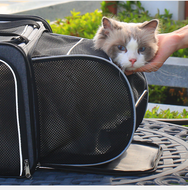Ventilated Net Cat Carrier Handbag