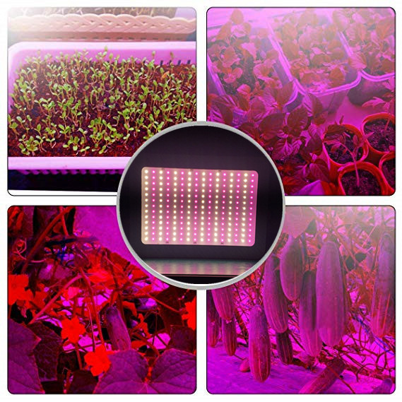 led grow lights quantum board 1000w veg flowers