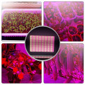 led grow lights quantum board 1000w veg flowers