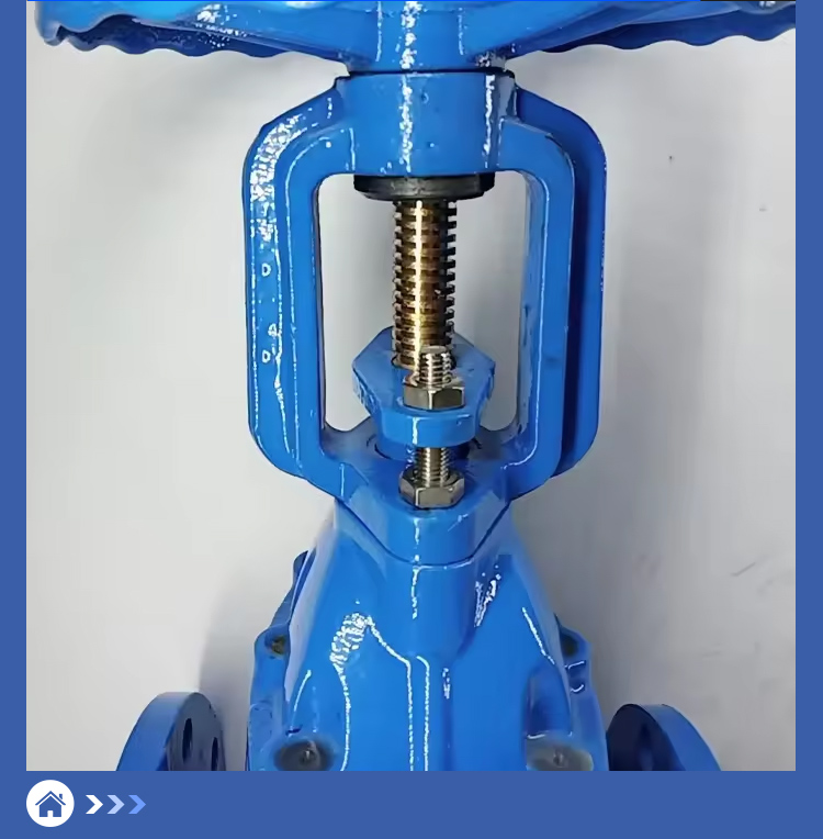 Bright Stem Gate Valve