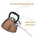 Golden Frosted Stainless Steel Whistling Tea Kettle