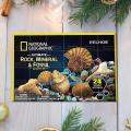 1Pcs Christmas Ore Gift Box Natural Geography Fossil Ornaments Christmas Advent Calendar Christmas Blind Box New Year Home Decor